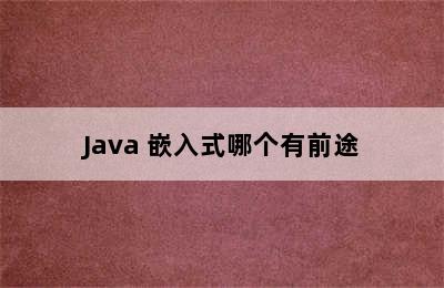 Java 嵌入式哪个有前途